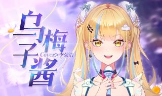 乌梅子酱是什么东西