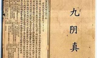 九阴真经全球华人服