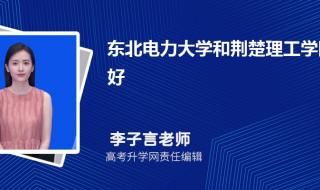 荆楚理工学院分数线