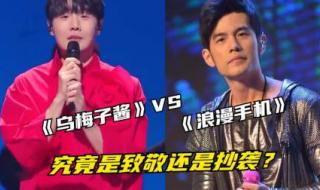 乌梅子酱是什么东西